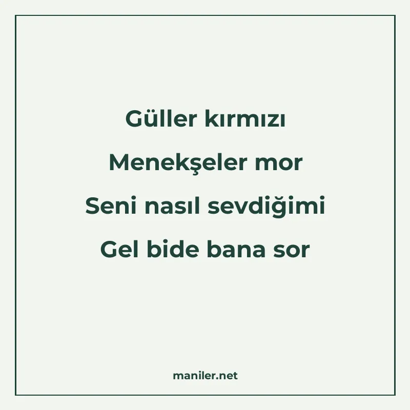 Güller kırmızı Menekşeler mor Seni nasıl sevdiğimi Gel bide manisi görseli