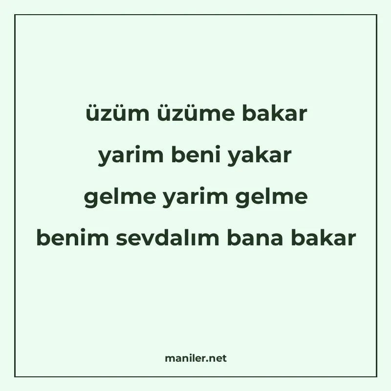 üzüm üzüme bakar yarim beni yakar gelme yarim gelme benim se manisi görseli