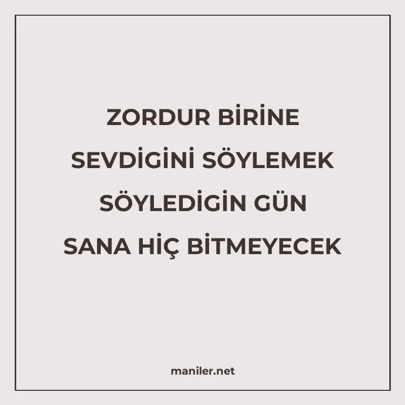 ZORDUR BİRİNE SEVDİGİNİ SÖYLEMEK SÖYLEDİGİN GÜN SANA HİÇ BİT manisi görseli