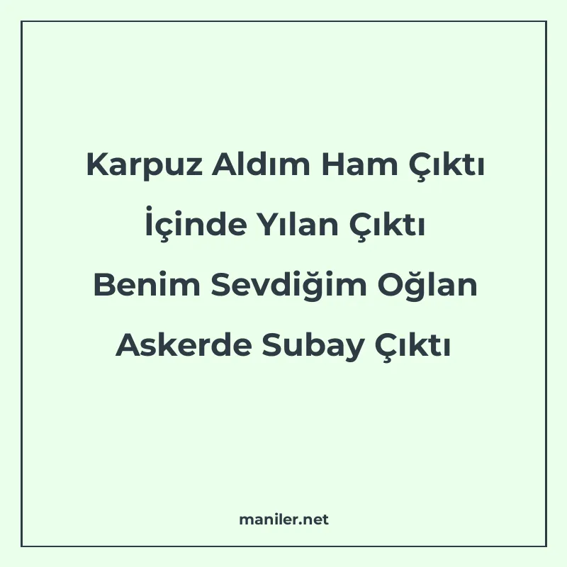 Karpuz Aldım Ham Çıktı İçinde Yılan Çıktı Benim Sevdiğim Oğl manisi görseli