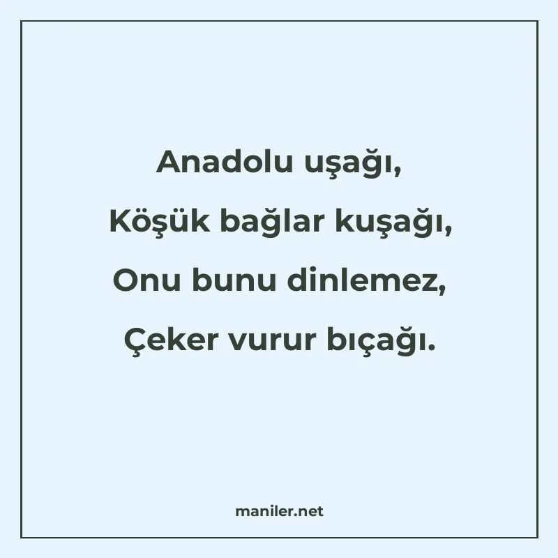 Anadolu uşağı, Köşük bağlar kuşağı, Onu bunu dinlemez, Çeker manisi görseli
