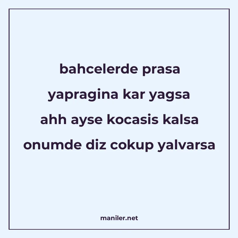 bahcelerde prasa yapragina kar yagsa ahh ayse kocasis kalsa manisi görseli