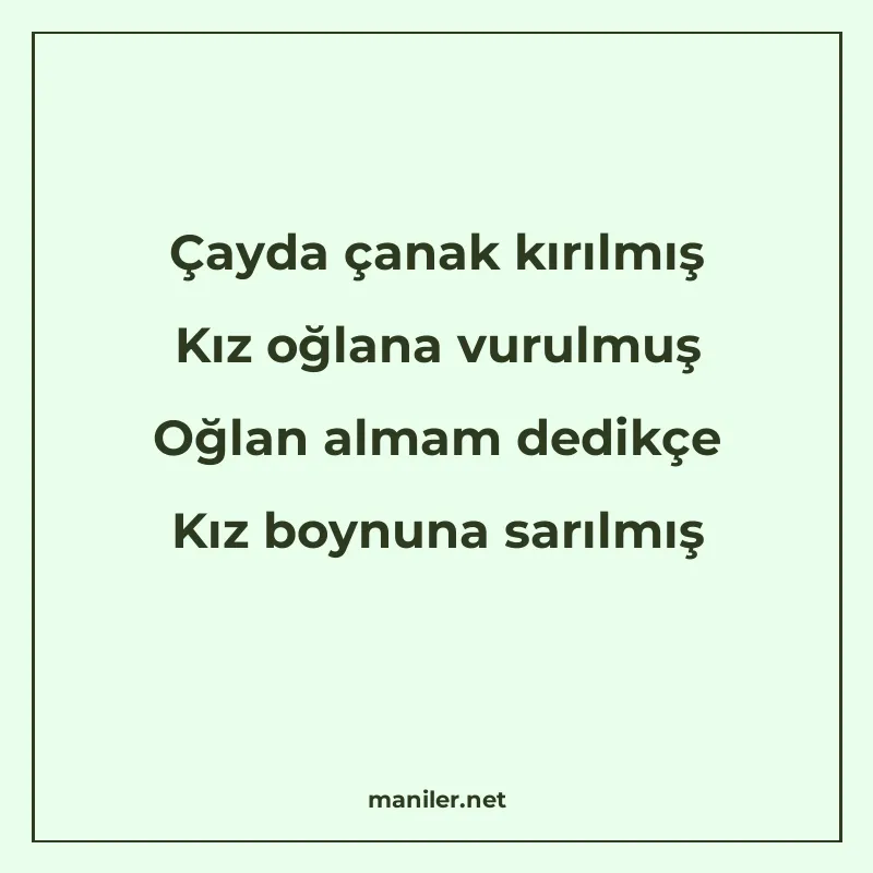 Çayda çanak kırılmış Kız oğlana vurulmuş Oğlan almam dedikçe manisi görseli