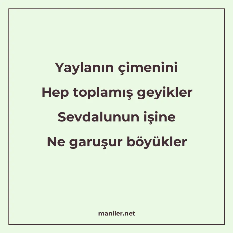 Yaylanın çimenini Hep toplamış geyikler Sevdalunun işine Ne manisi görseli