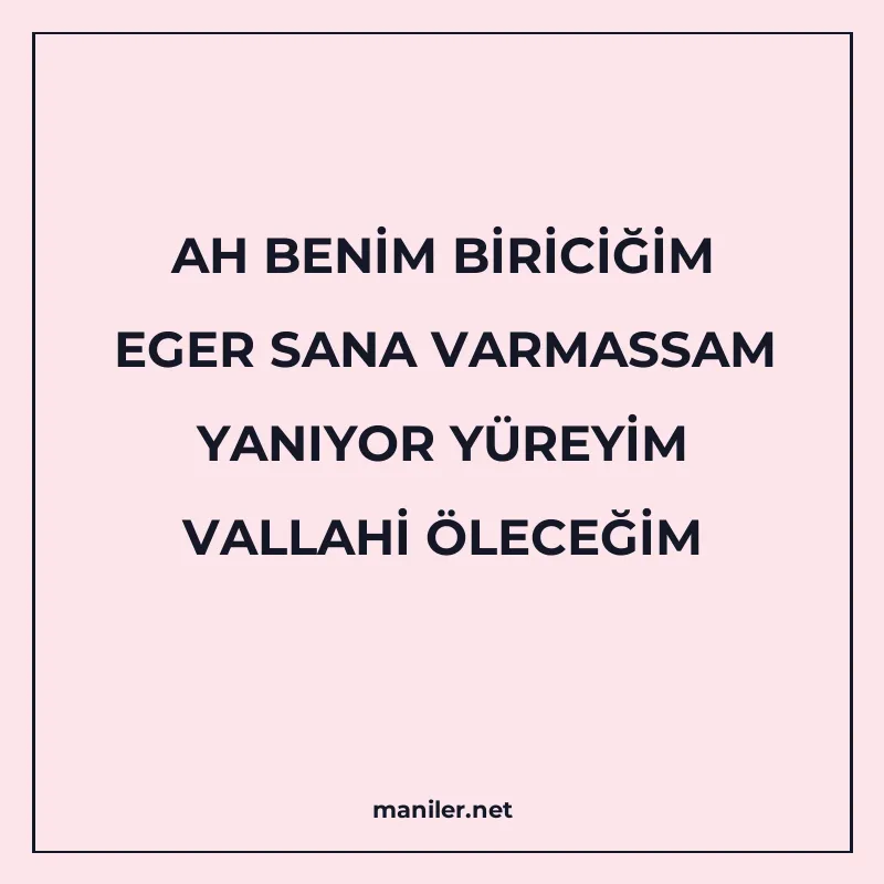 AH BENİM BİRİCİĞİM EGER SANA VARMASSAM YANIYOR YÜREYİM VALLA manisi görseli