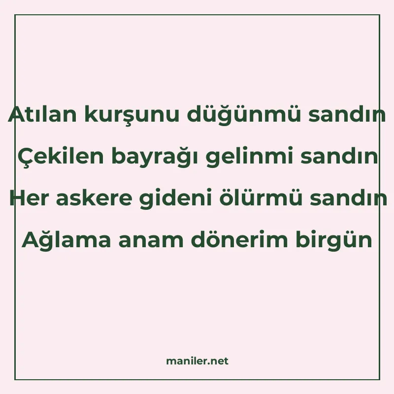 Atılan kurşunu düğünmü sandın Çekilen bayrağı gelinmi sandın manisi görseli