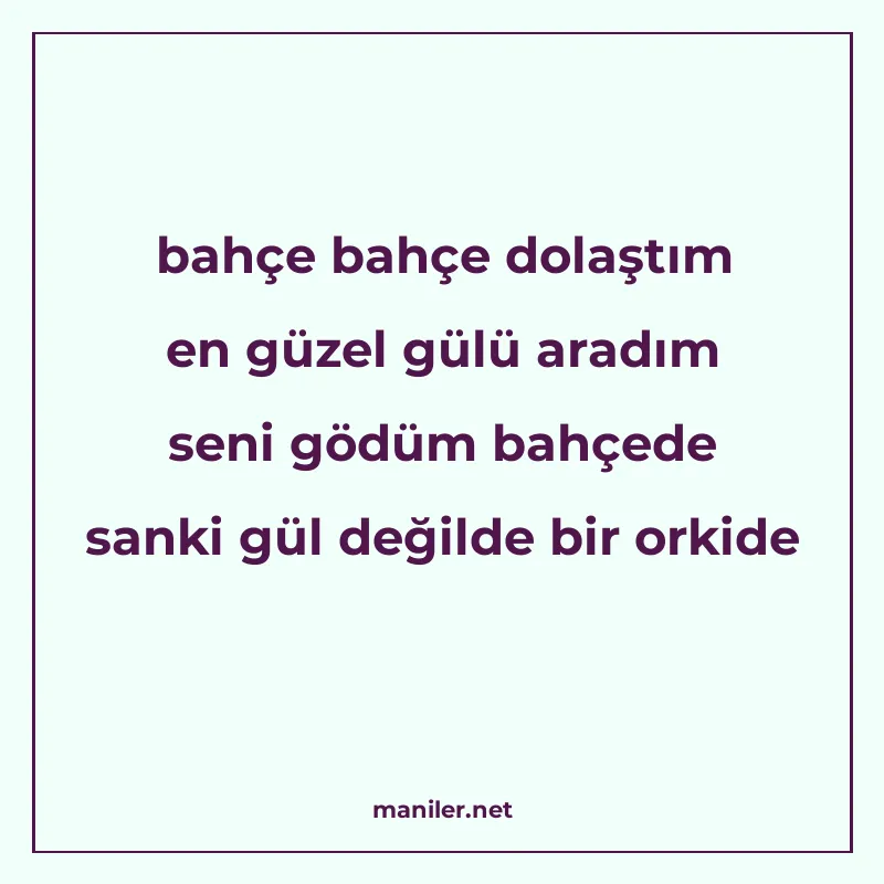bahçe bahçe dolaştım en güzel gülü aradım seni gödüm bahçede manisi görseli