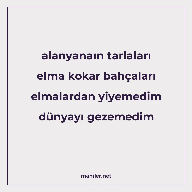 alanyanaın tarlaları elma kokar bahçaları elmalardan yiyemed manisi görseli