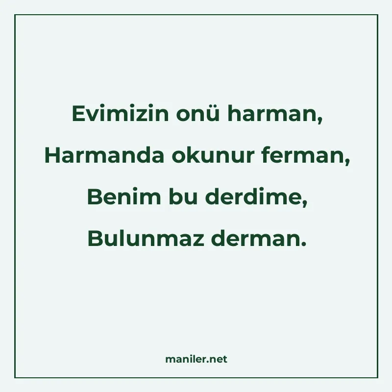 Evimizin onü harman, Harmanda okunur ferman, Benim bu derdim manisi görseli
