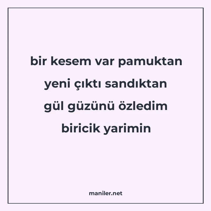 bir kesem var pamuktan yeni çıktı sandıktan gül güzünü özled manisi görseli