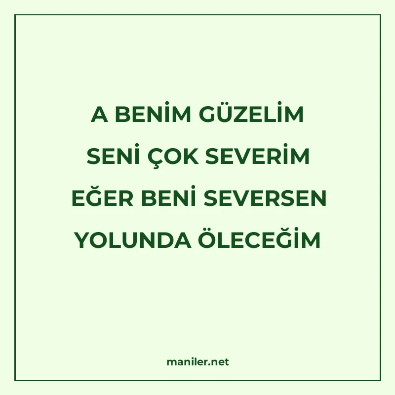 A BENİM GÜZELİM SENİ ÇOK SEVERİM EĞER BENİ SEVERSEN YOLUNDA manisi görseli