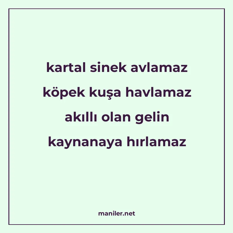 kartal sinek avlamaz köpek kuşa havlamaz akıllı olan gelin k manisi görseli