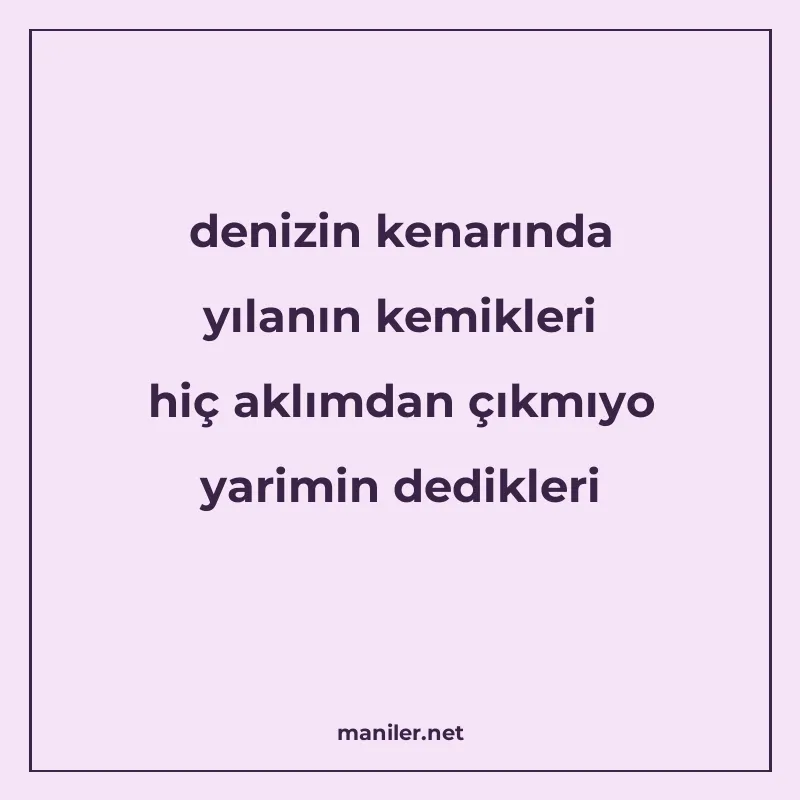 denizin kenarında yılanın kemikleri hiç aklımdan çıkmıyo yar manisi görseli