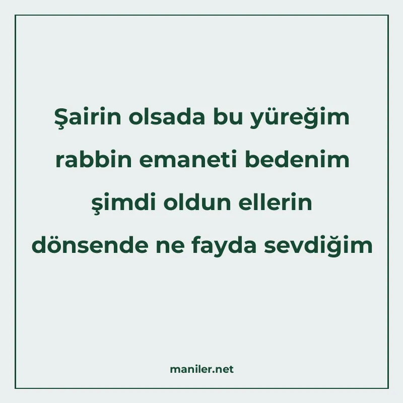 Şairin olsada bu yüreğim rabbin emaneti bedenim şimdi oldun manisi görseli