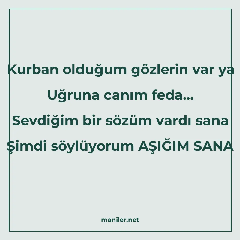 Kurban olduğum gözlerin var ya Uğruna canım feda... Sevdiğim manisi görseli