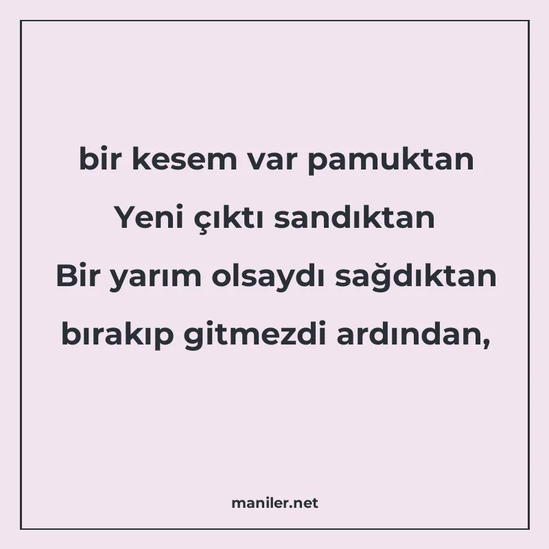 bir kesem var pamuktan Yeni çıktı sandıktan Bir yarım olsayd manisi görseli