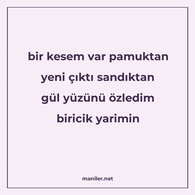bir kesem var pamuktan yeni çıktı sandıktan gül yüzünü özled manisi görseli