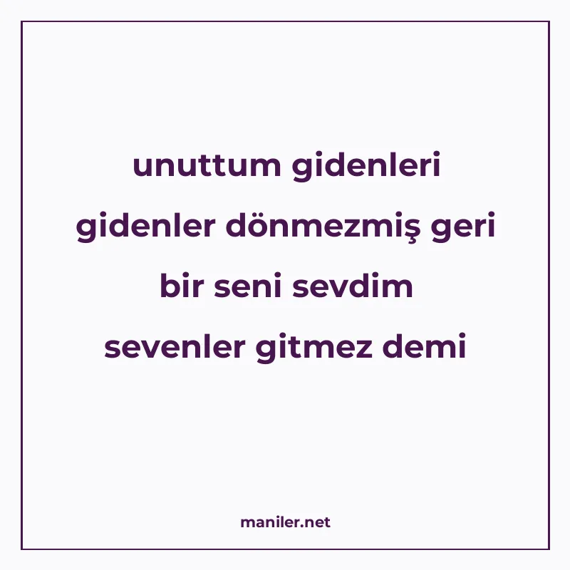 unuttum gidenleri gidenler dönmezmiş geri bir seni sevdim se manisi görseli