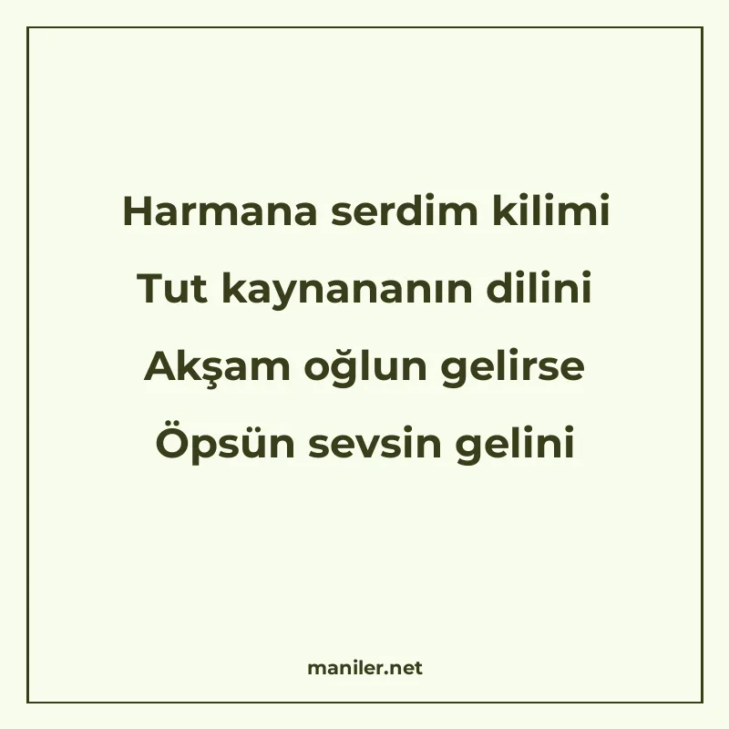 Harmana serdim kilimi Tut kaynananın dilini Akşam oğlun geli manisi görseli