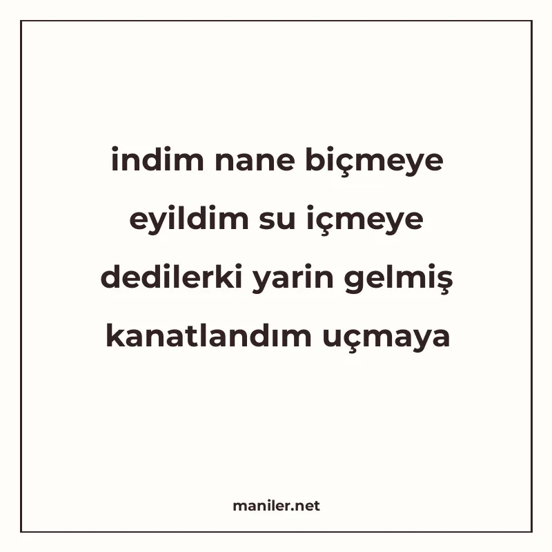 indim nane biçmeye eyildim su içmeye dedilerki yarin gelmiş manisi görseli