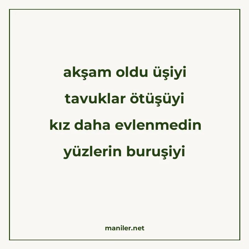 akşam oldu üşiyi tavuklar ötüşüyi kız daha evlenmedin yüzler manisi görseli