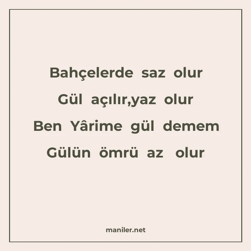 Bahçelerde saz olur Gül açılır,yaz olur Ben Yârime gül demem manisi görseli