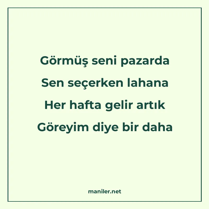 Görmüş seni pazarda Sen seçerken lahana Her hafta gelir artı manisi görseli