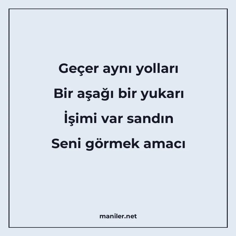 Geçer aynı yolları Bir aşağı bir yukarı İşimi var sandın Sen manisi görseli