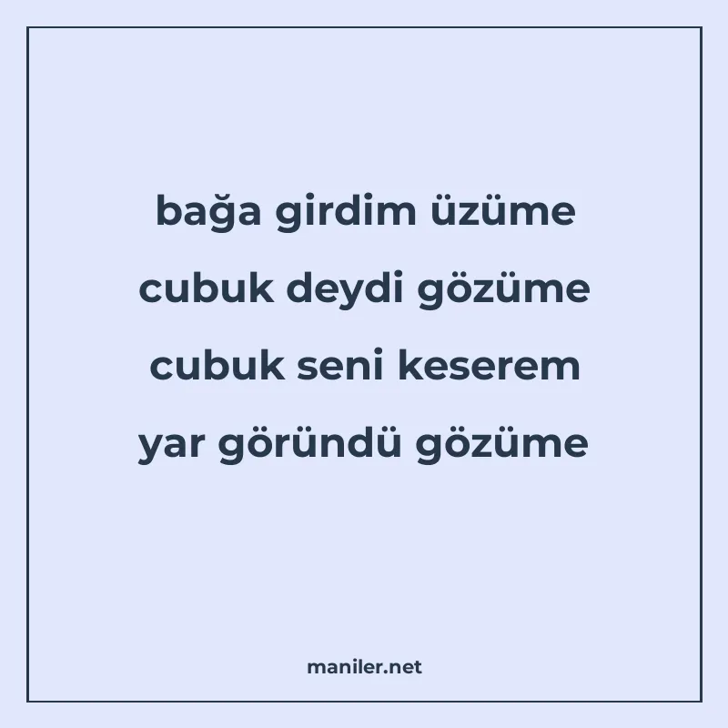 bağa girdim üzüme cubuk deydi gözüme cubuk seni keserem yar manisi görseli