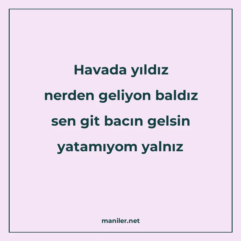 Havada yıldız nerden geliyon baldız sen git bacın gelsin yat manisi görseli