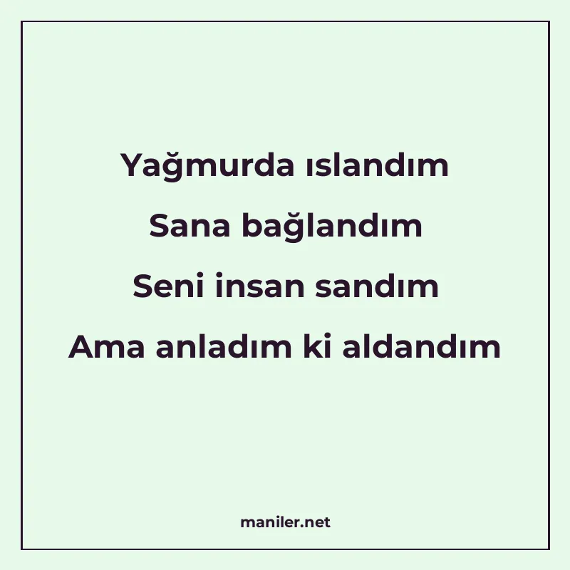 Yağmurda ıslandım Sana bağlandım Seni insan sandım Ama anlad manisi görseli