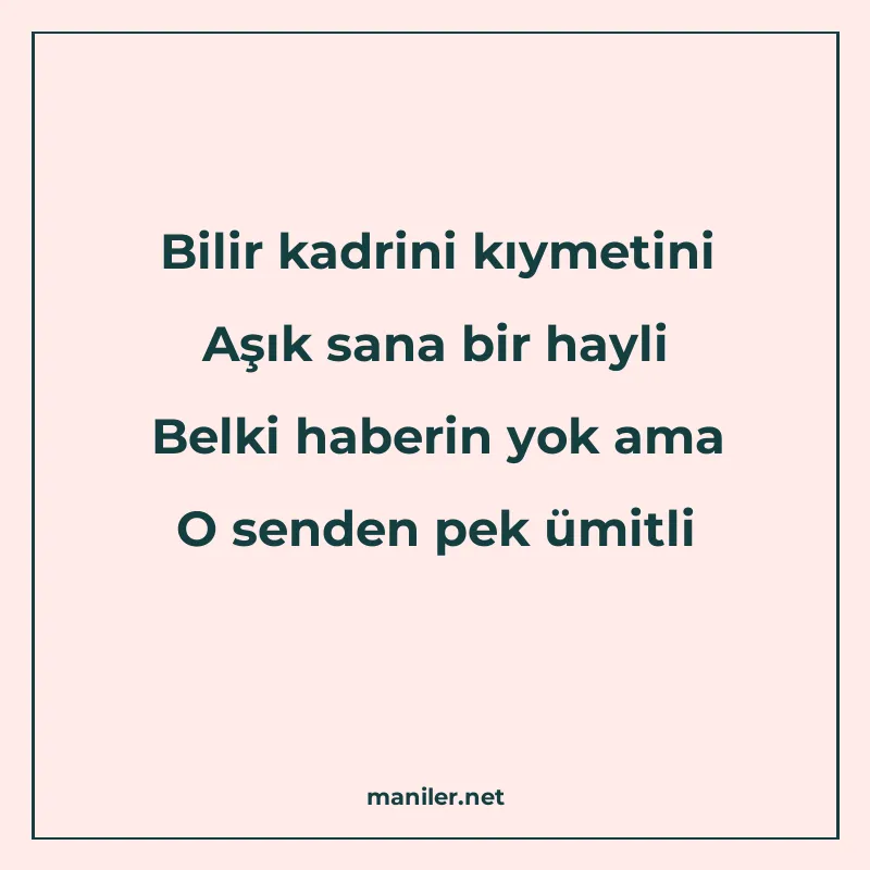 Bilir kadrini kıymetini Aşık sana bir hayli Belki haberin yo manisi görseli