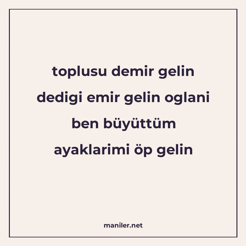 toplusu demir gelin dedigi emir gelin oglani ben büyüttüm ay manisi görseli