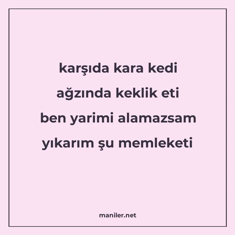karşıda kara kedi ağzında keklik eti ben yarimi alamazsam yı manisi görseli