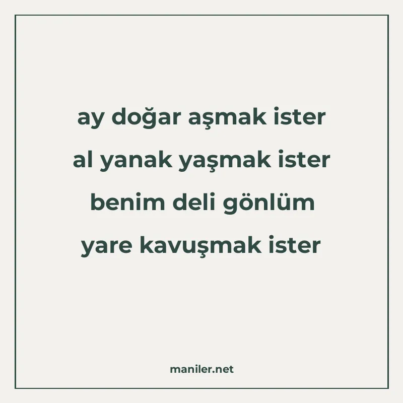ay doğar aşmak ister al yanak yaşmak ister benim deli gönlüm manisi görseli