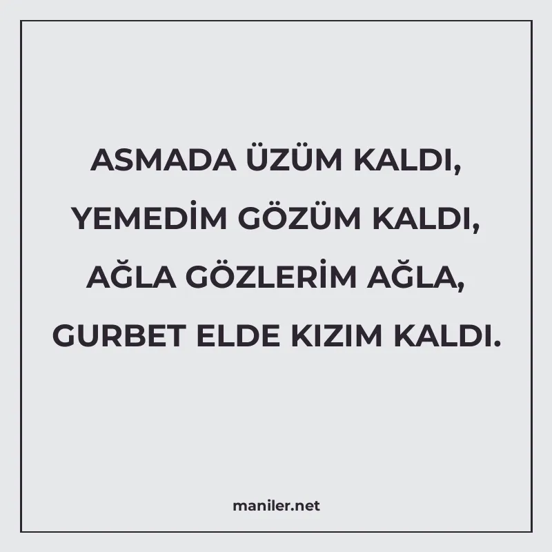 ASMADA ÜZÜM KALDI, YEMEDİM GÖZÜM KALDI, AĞLA GÖZLERİM AĞLA manisi görseli