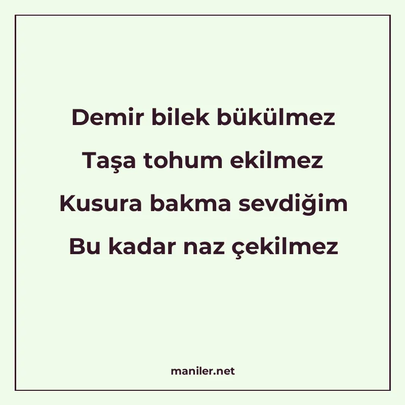 Demir bilek bükülmez Taşa tohum ekilmez Kusura bakma sevdiği manisi görseli