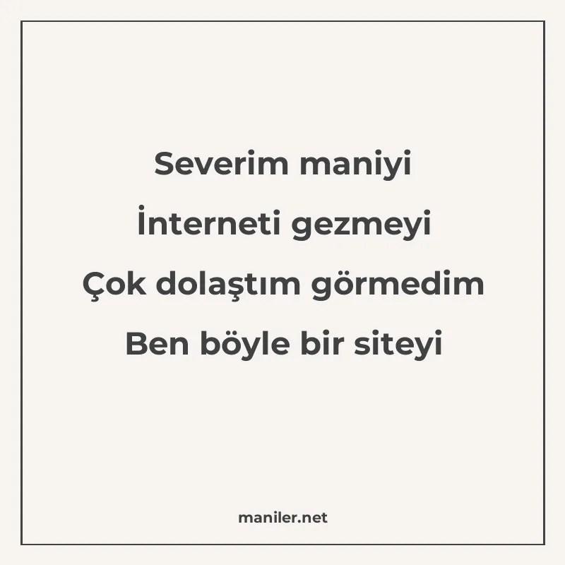 Severim maniyi İnterneti gezmeyi Çok dolaştım görmedim Ben b manisi görseli