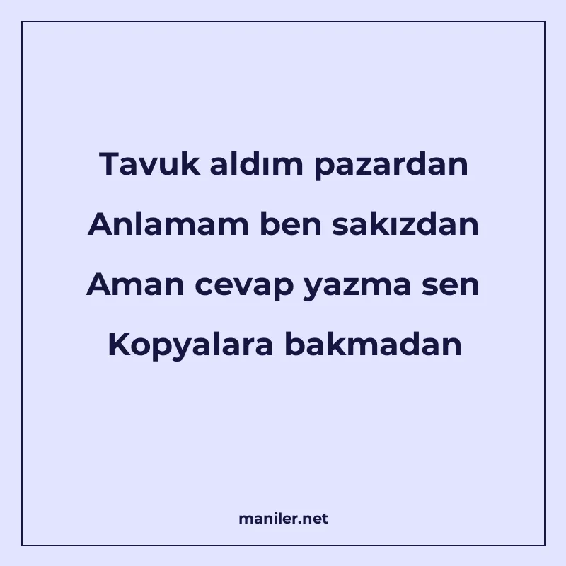 Tavuk aldım pazardan Anlamam ben sakızdan Aman cevap yazma s manisi görseli