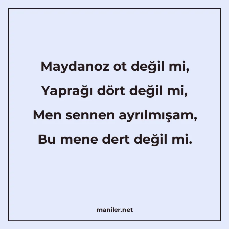 Maydanoz ot değil mi, Yaprağı dört değil mi, Men sennen ayrı manisi görseli