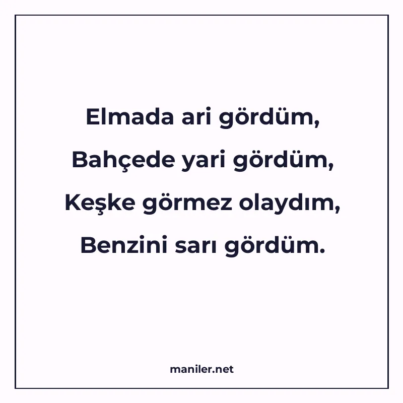 Elmada ari gördüm, Bahçede yari gördüm, Keşke görmez olaydım manisi görseli