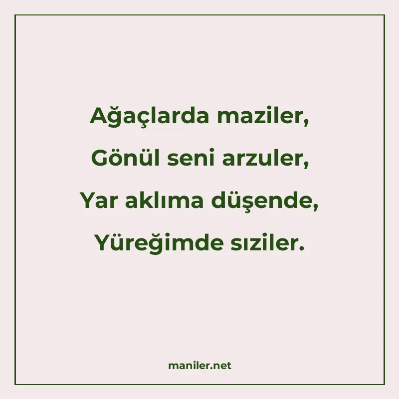 Ağaçlarda maziler, Gönül seni arzuler, Yar aklıma düşende, Y manisi görseli