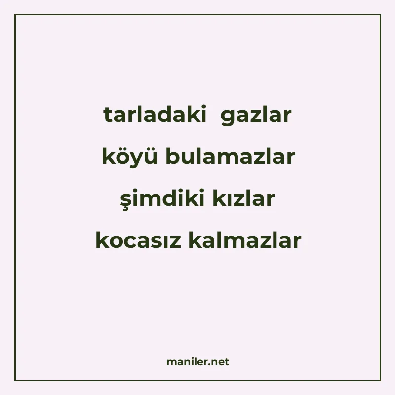 tarladaki gazlar köyü bulamazlar şimdiki kızlar kocasız kalm manisi görseli