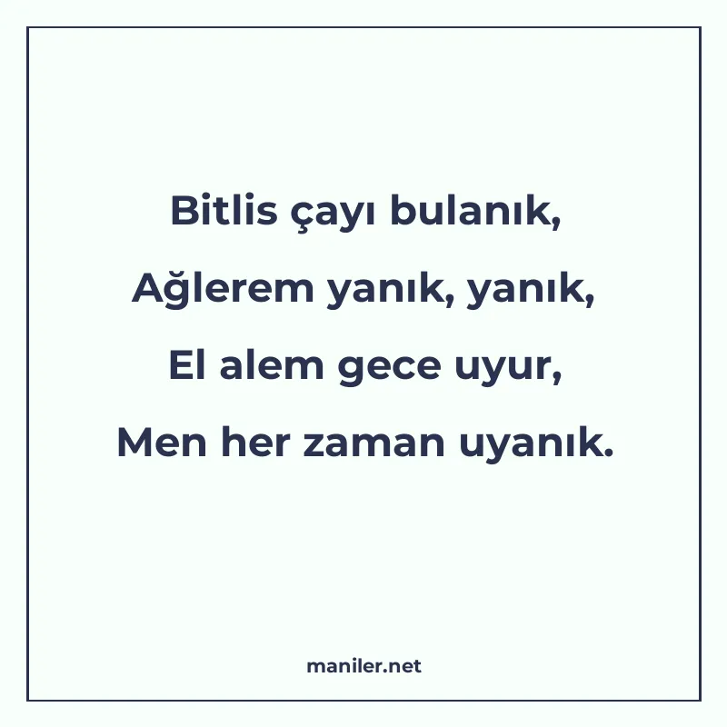 Bitlis çayı bulanık, Ağlerem yanık, yanık, El alem gece uyur manisi görseli