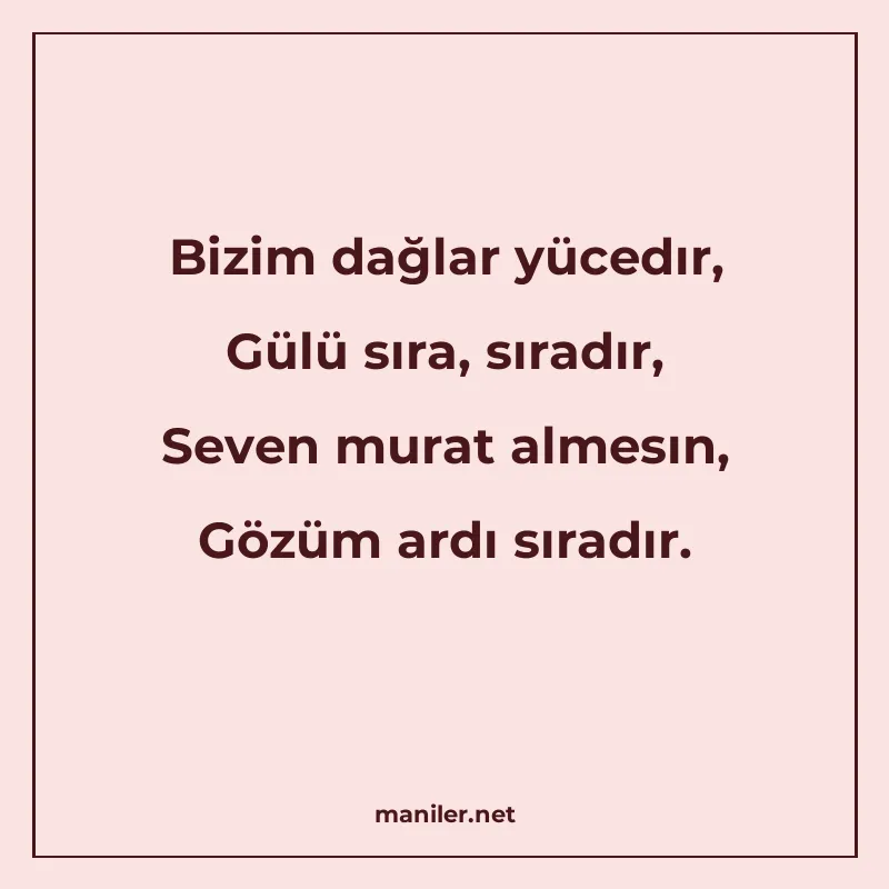 Bizim dağlar yücedır, Gülü sıra, sıradır, Seven murat almesı manisi görseli