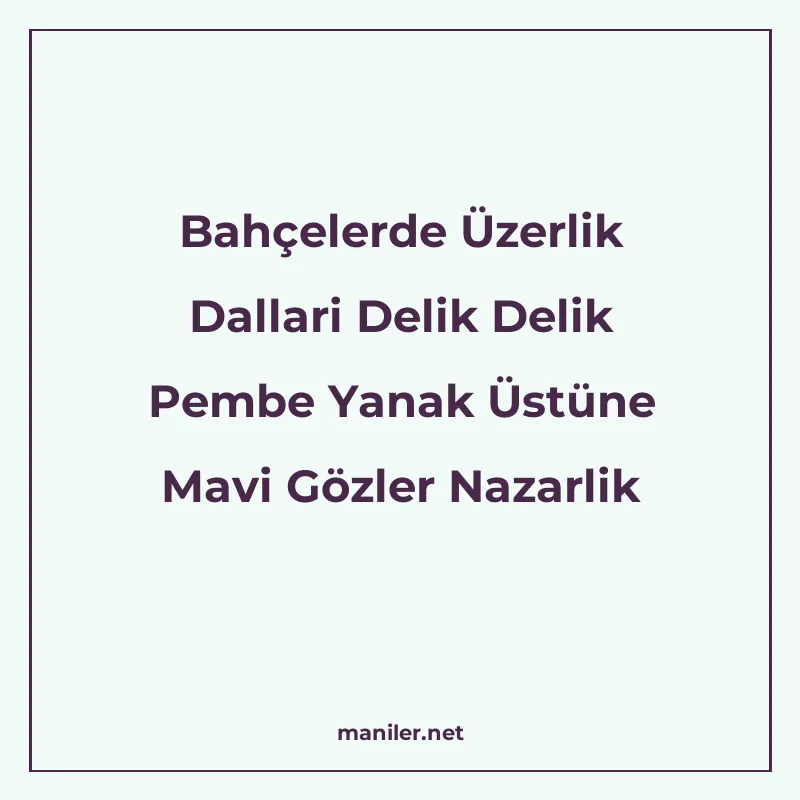 Bahçelerde Üzerlik Dallari Delik Delik Pembe Yanak Üstüne Ma manisi görseli