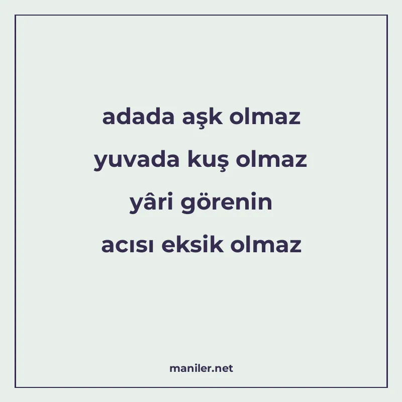 adada aşk olmaz yuvada kuş olmaz yâri görenin acısı eksik ol manisi görseli