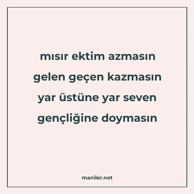 mısır ektim azmasın gelen geçen kazmasın yar üstüne yar seve manisi görseli