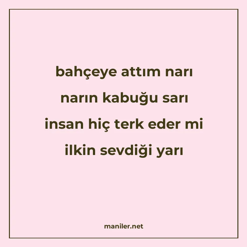 bahçeye attım narı narın kabuğu sarı insan hiç terk eder mi manisi görseli