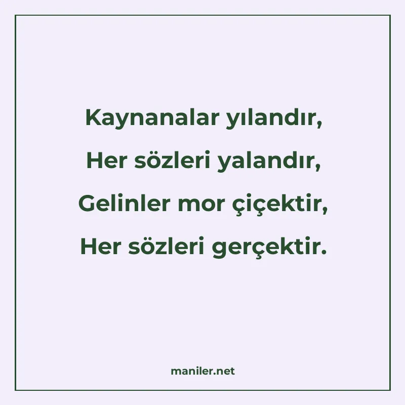 Kaynanalar yılandır, Her sözleri yalandır, Gelinler mor çiçe manisi görseli